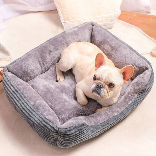 Chien dans Panier pour chien couleur gris - Ultra - Douillet - Gamelle et Cie pour Chien