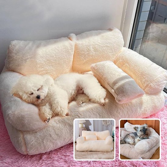Chien endormi dans panier pour chien kaki - Ultra - Confort - Gamelle et Cie pour Chien