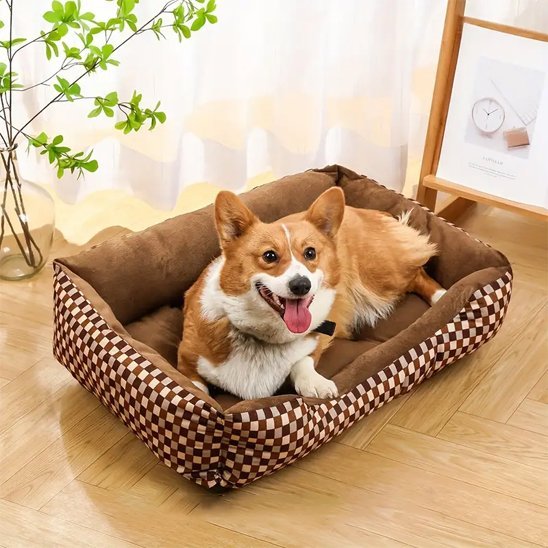 Chien dans Panier pour chien couleur plaid - Ultra - Douillet - Gamelle et Cie pour Chien
