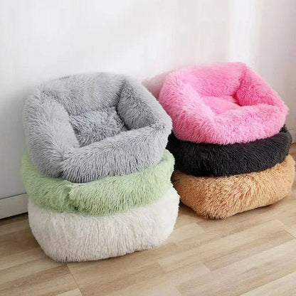 Plusieurs Panier pour chien en différentes couleurs - ErgoComfort - Gamelle et Cie pour Chien