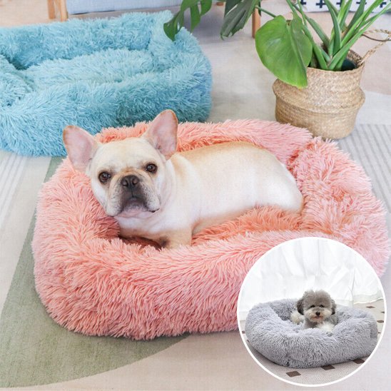 Chien couché dans Panier pour chien rose - ErgoComfort - Gamelle et Cie pour Chien