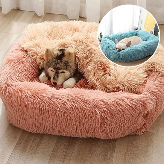 Chien dors dans Panier pour chien rose - ErgoComfort - Gamelle et Cie pour Chien