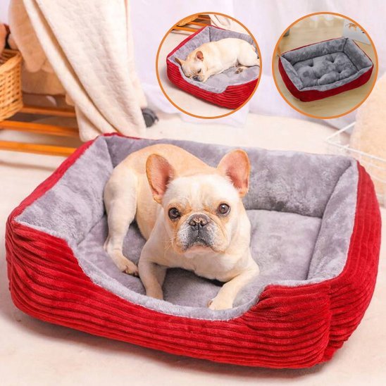 Chien dans Panier pour chien couleur rouge - Ultra - Douillet - Gamelle et Cie pour Chien