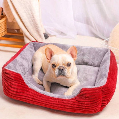 Chien dans Panier pour chien couleur rouge - Ultra - Douillet - Gamelle et Cie pour Chien