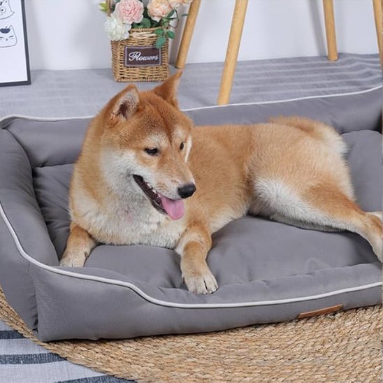 Panier pour chien | Ultra - confort - Gamelle et Cie pour Chien