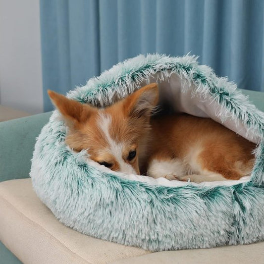 Panier chien | DouceurDesign