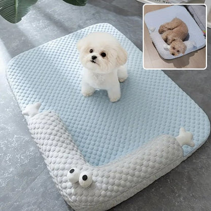 Coussin chien | Confort Lavable