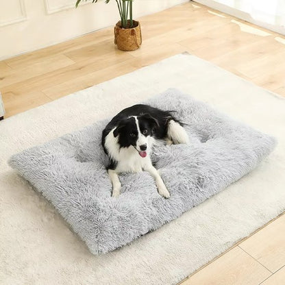 Coussin pour chien orthopédique | DogComfort